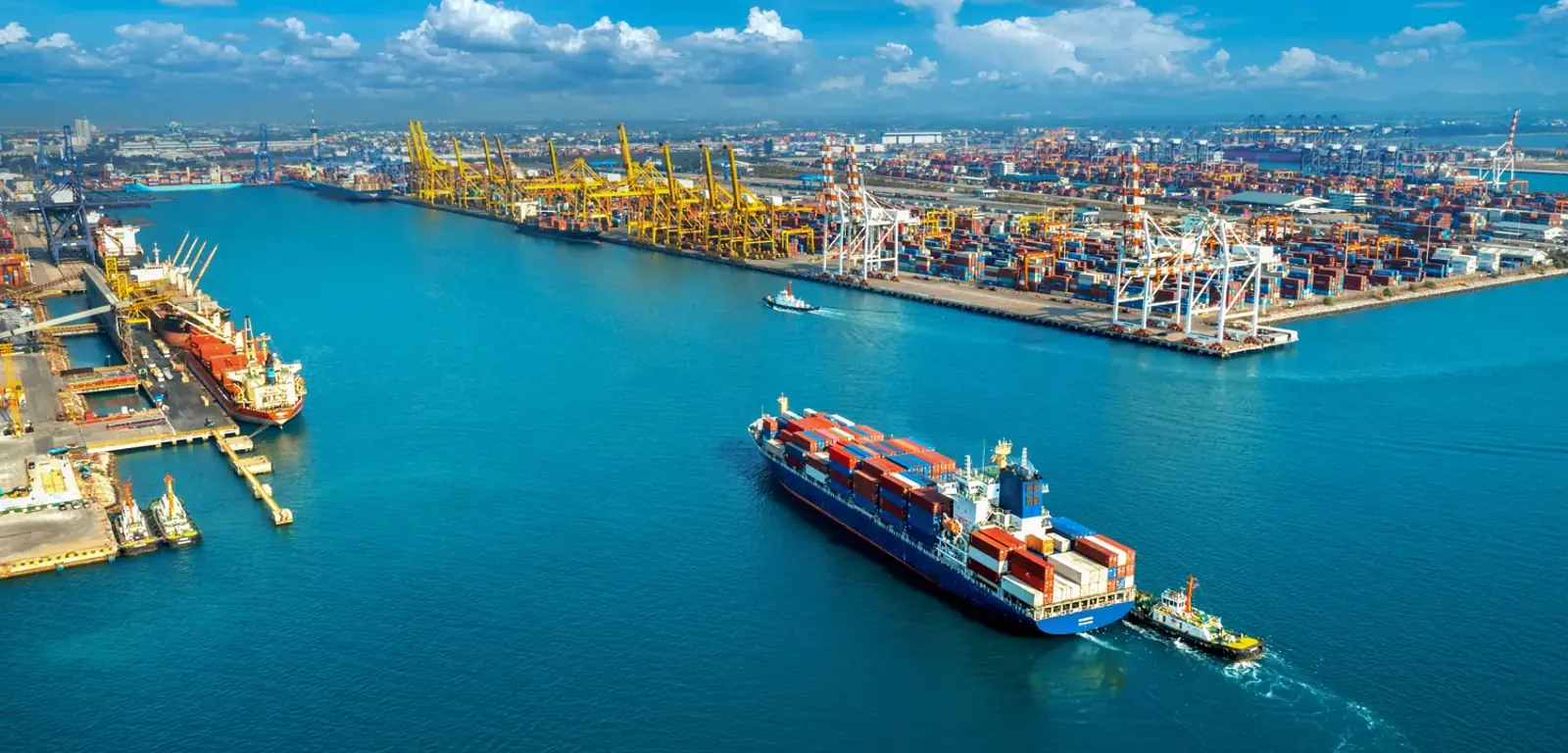 A container ship and cranes at an international port